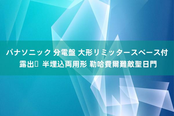 パナソニック 分電盤 大形リミッタースペース付 露出・半埋込両用形 勒哈費爾難敵聖日門