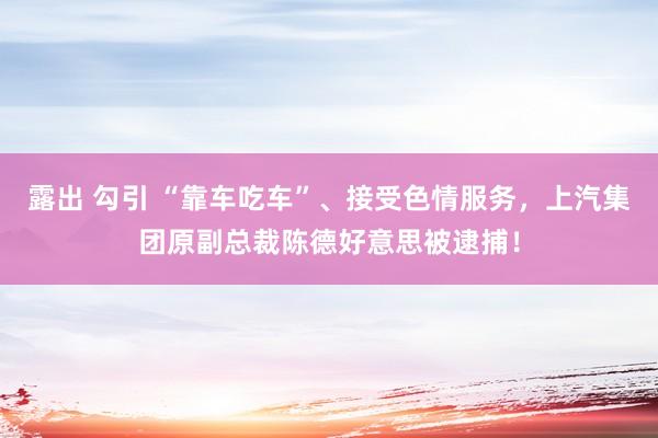 露出 勾引 “靠车吃车”、接受色情服务，上汽集团原副总裁陈德好意思被逮捕！