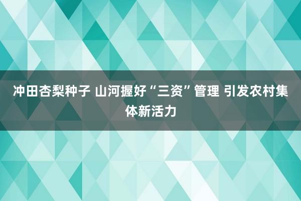 冲田杏梨种子 山河握好“三资”管理 引发农村集体新活力